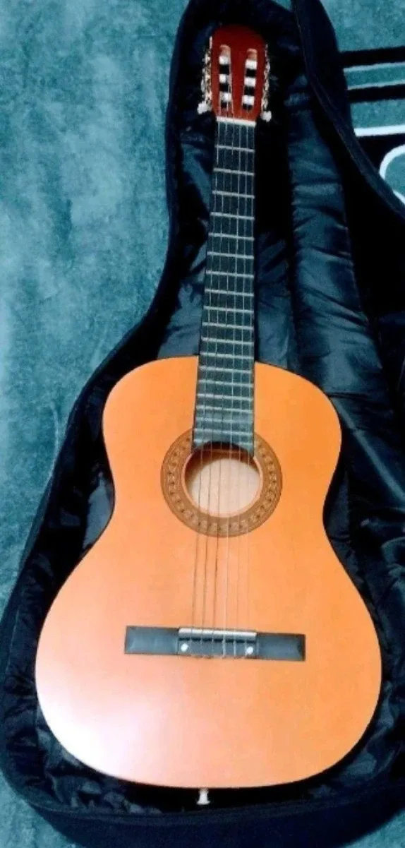 Acoustic Guitar & Peavey Guitar Storage Case Bag. image indicator(2)