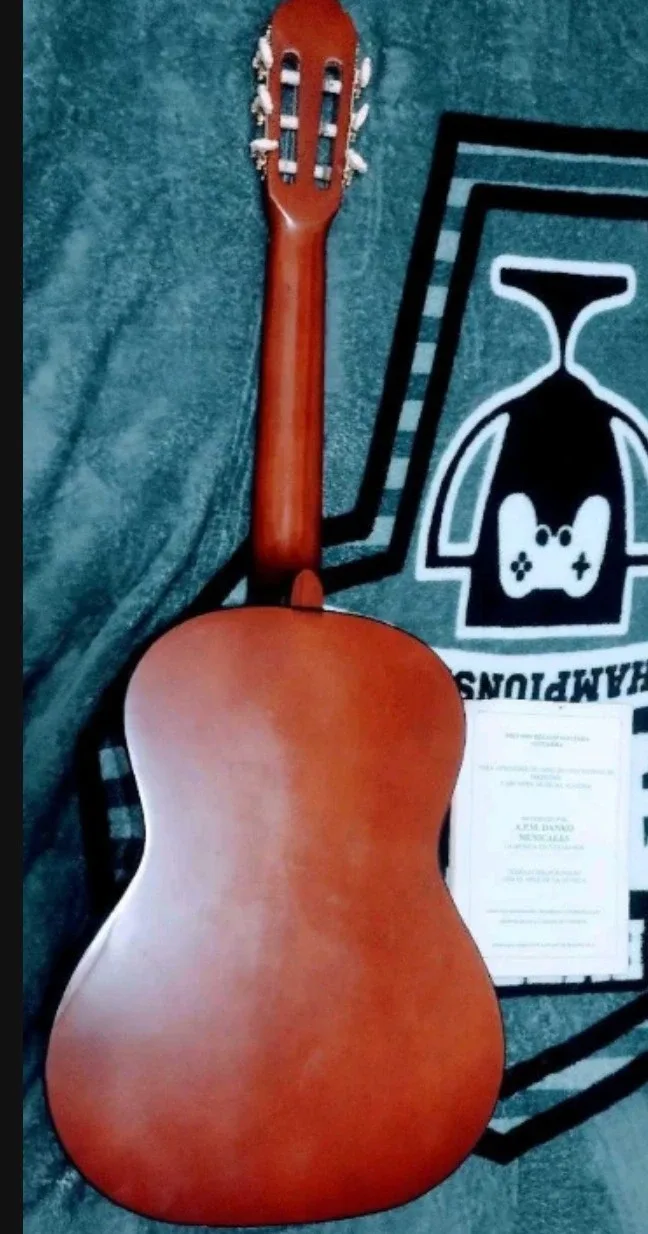 Acoustic Guitar & Peavey Guitar Storage Case Bag. image indicator(4)