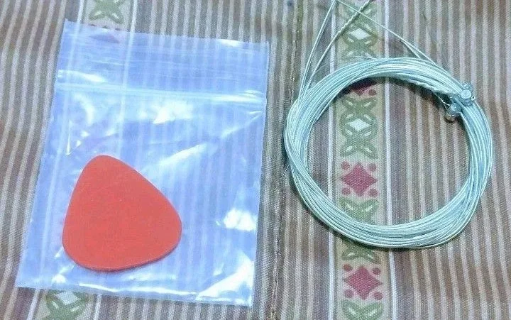 Acoustic Guitar & Peavey Guitar Storage Case Bag. image indicator(5)