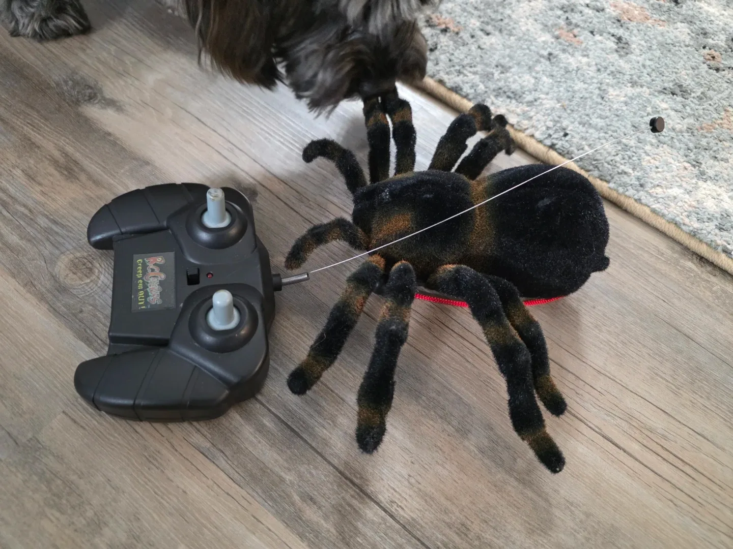 Remote Control Spider Toy image indicator(2)