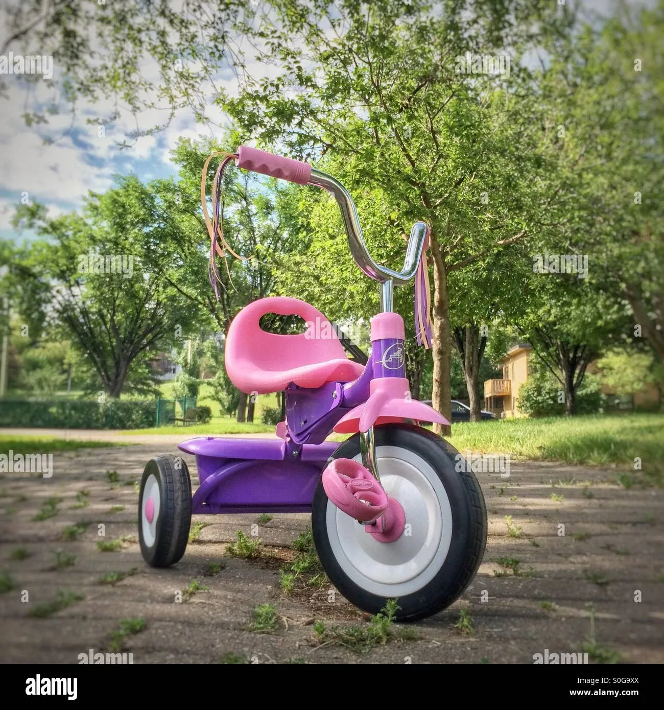Radio Flyer Pink & Purple Tricycle