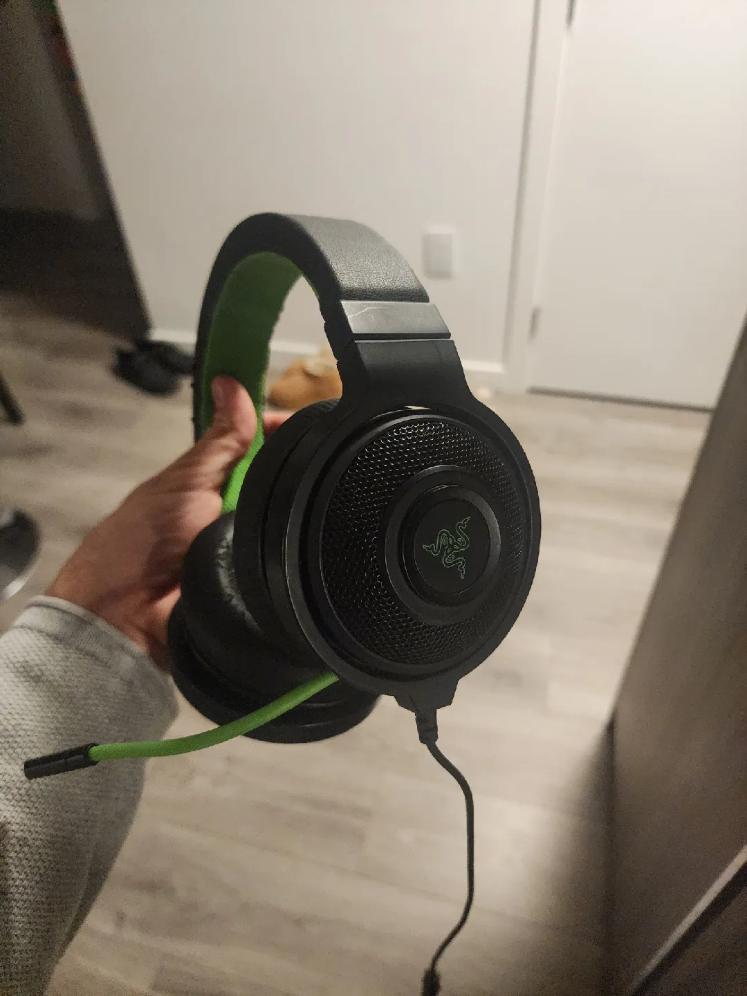 Razer Gaming Headset - Black & Green image indicator(2)