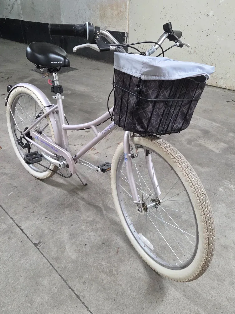 Supercycle Camelia Comfort Bike image indicator(2)