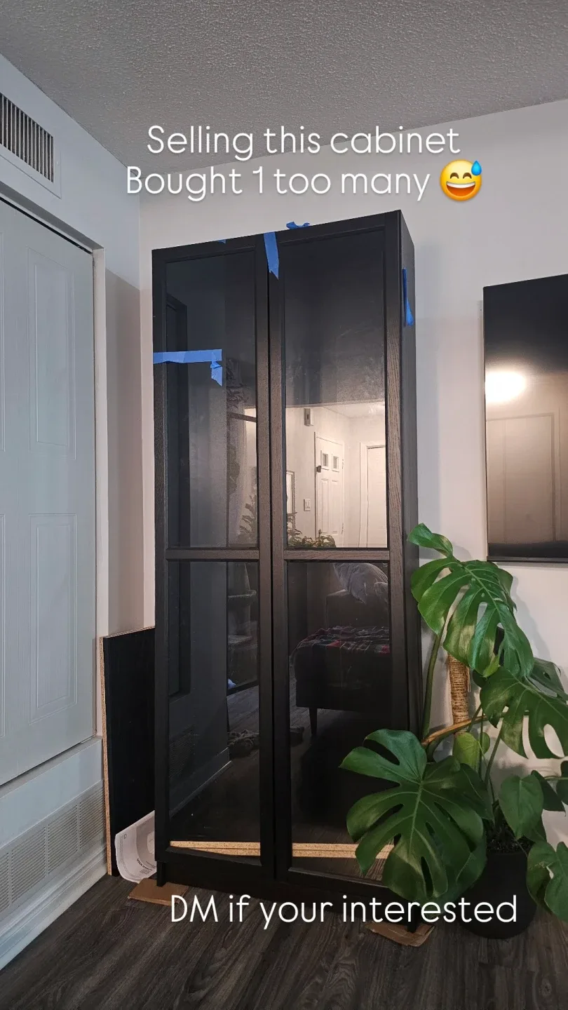 Black Cabinet with Glass Doors