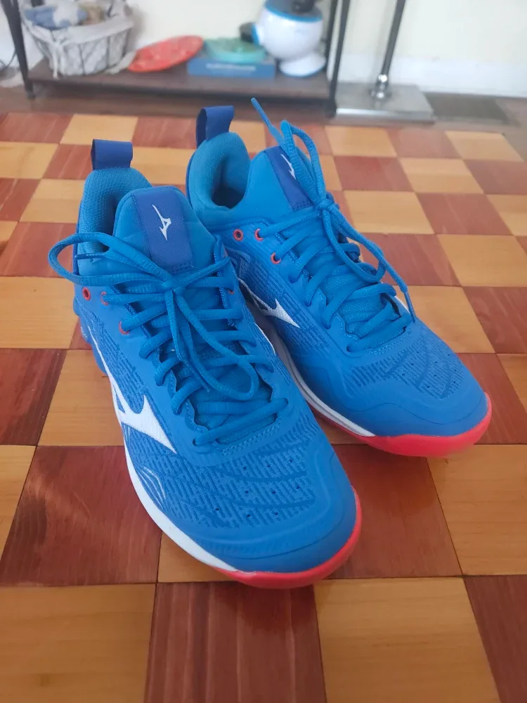Mizuno Volleyball 🏐 Shoes