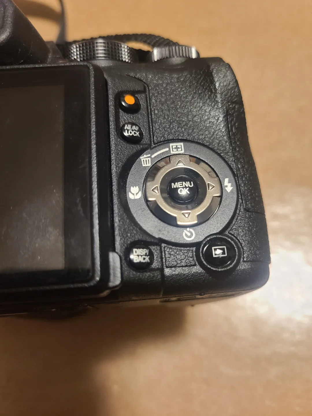 Fujifilm FinePix HS10 Digital Camera image indicator(7)