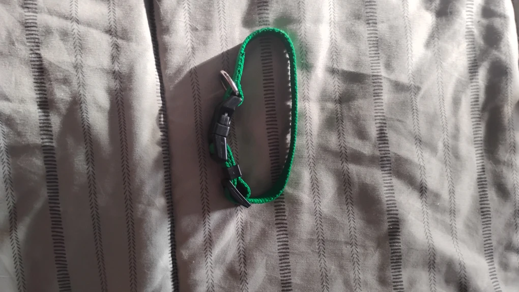 Green Adjustable Pet Collar - photo 2