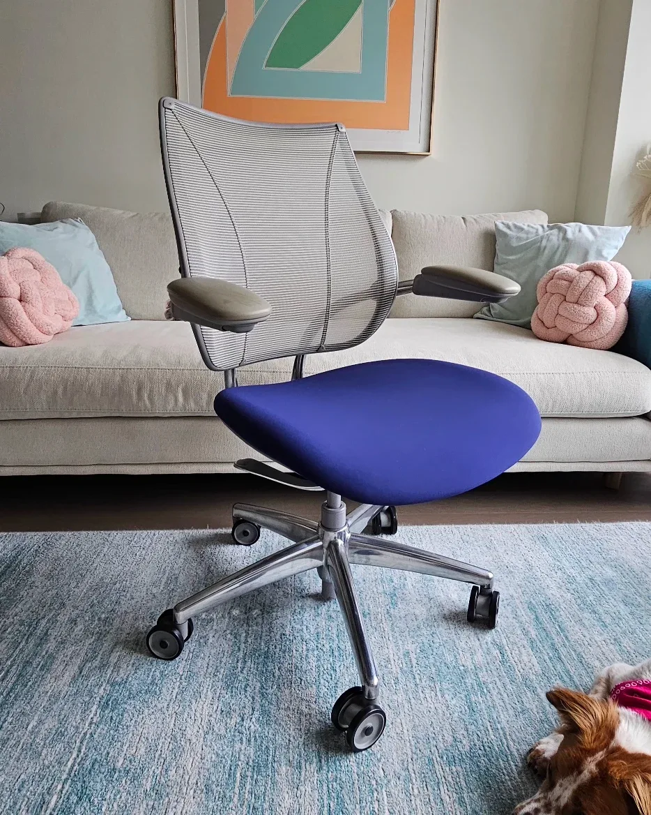 Humanscale Liberty Chair - Blue Seat, Gray grame, Aluminum base image indicator(7)