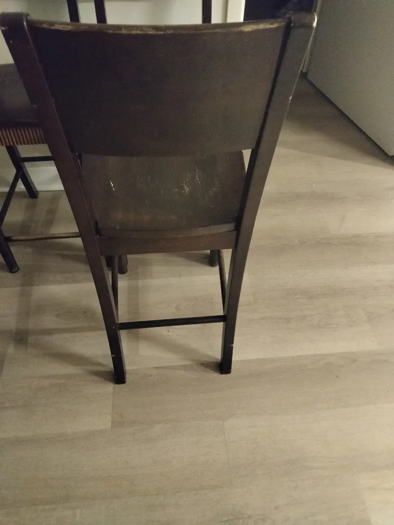 Pier 1 Imports Dining Chairs - Set of 4 image indicator(3)