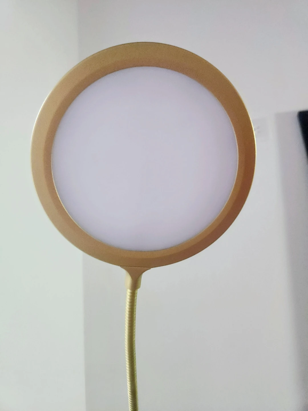 Gold LED Floor Lamp - photo 3