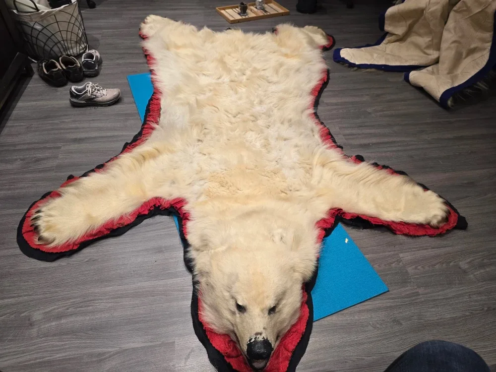 Polar bear skin rug image indicator(2)