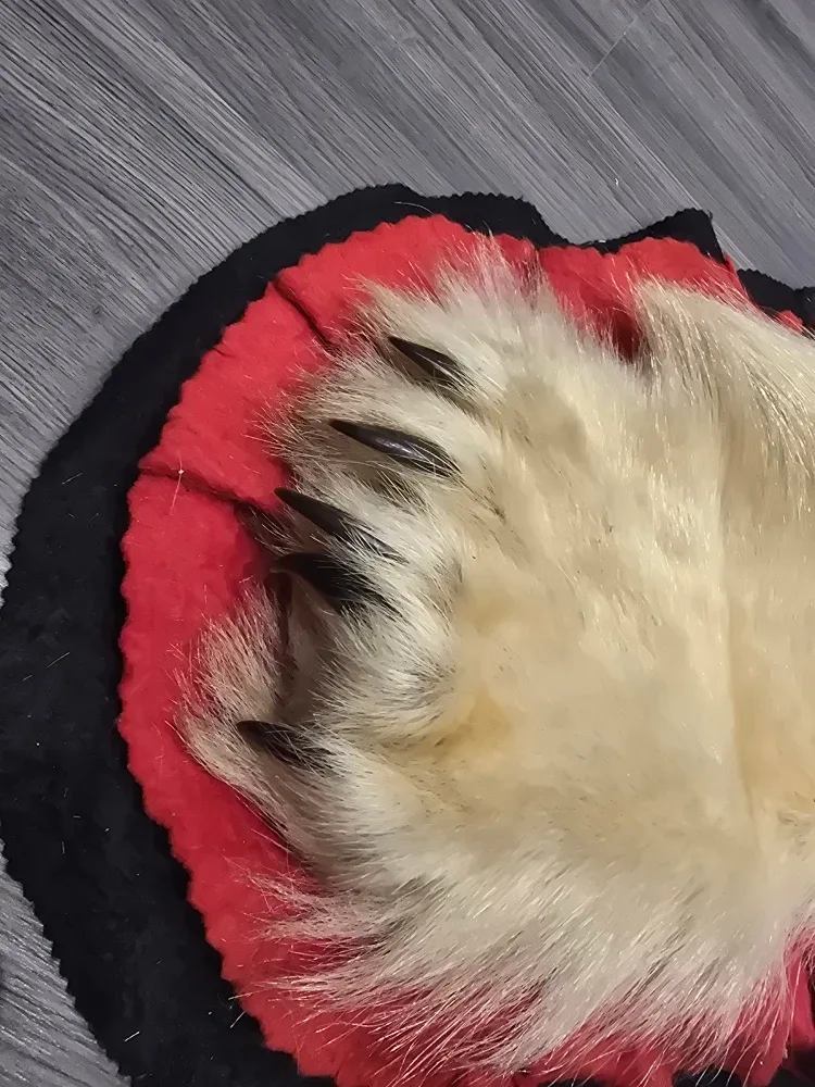 Polar bear skin rug image indicator(4)