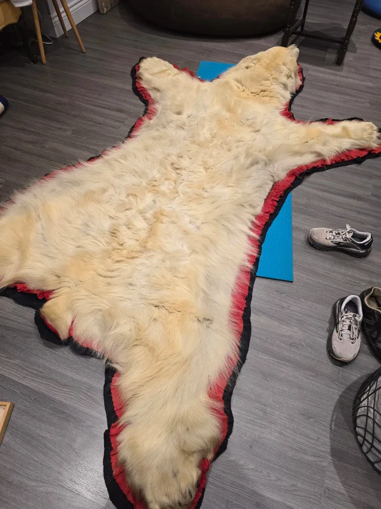 Polar bear skin rug image indicator(5)