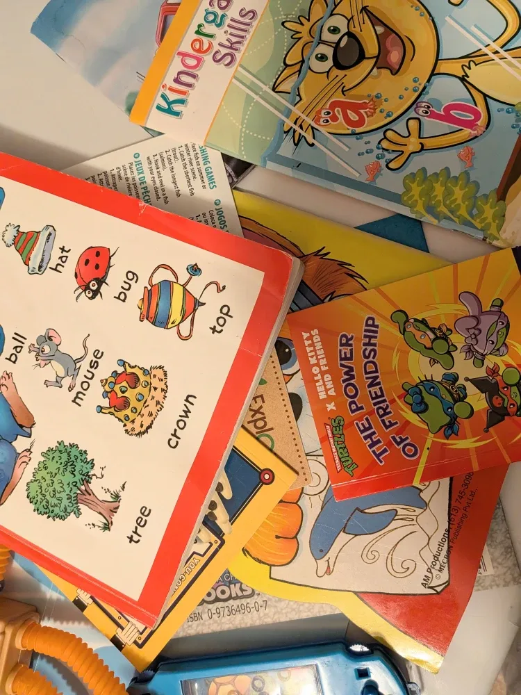 Mixed Lot of Toys and Books used image indicator(5)