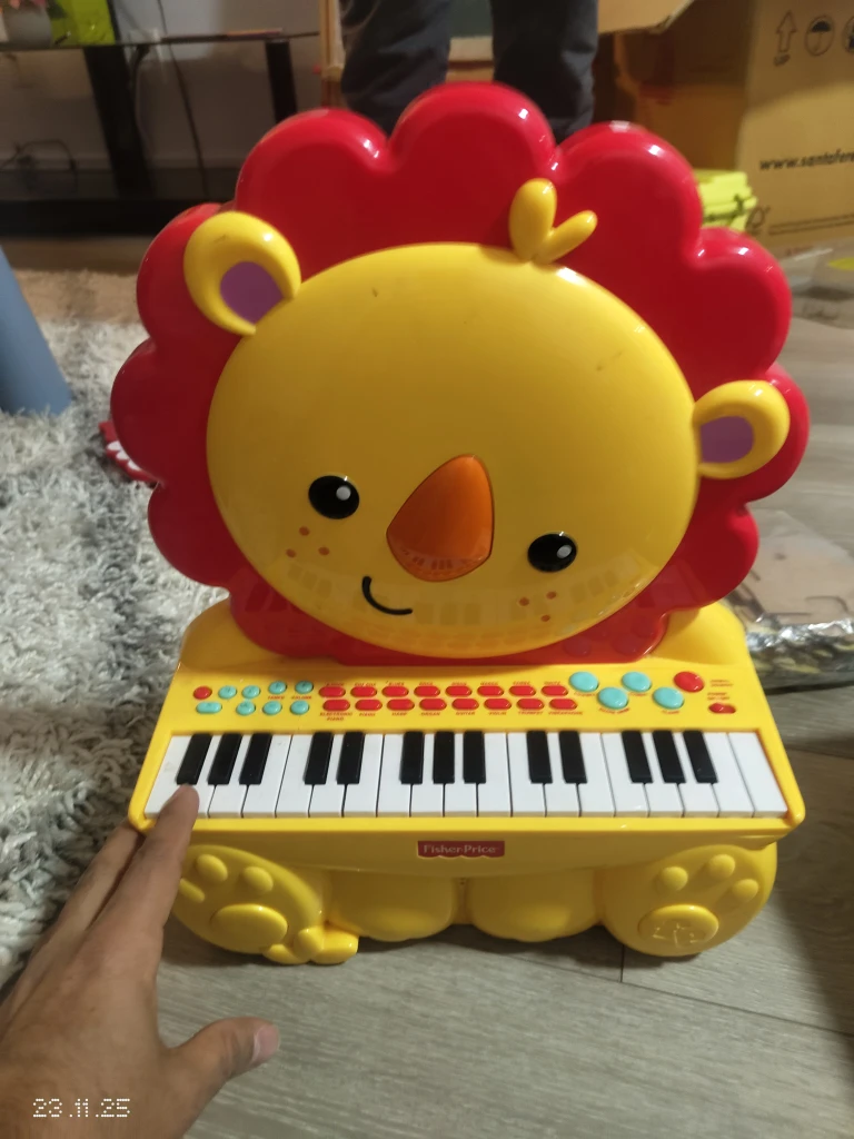 Fisher-Price Lion Piano & Mega Bloks Bundle