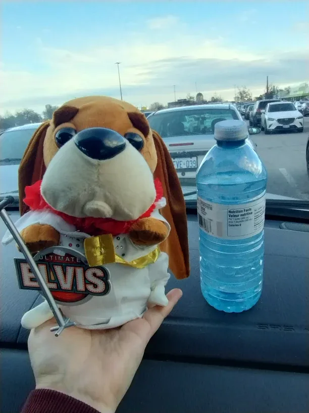 Elvis Musical Gemmy Ultimate Plush image indicator(2)