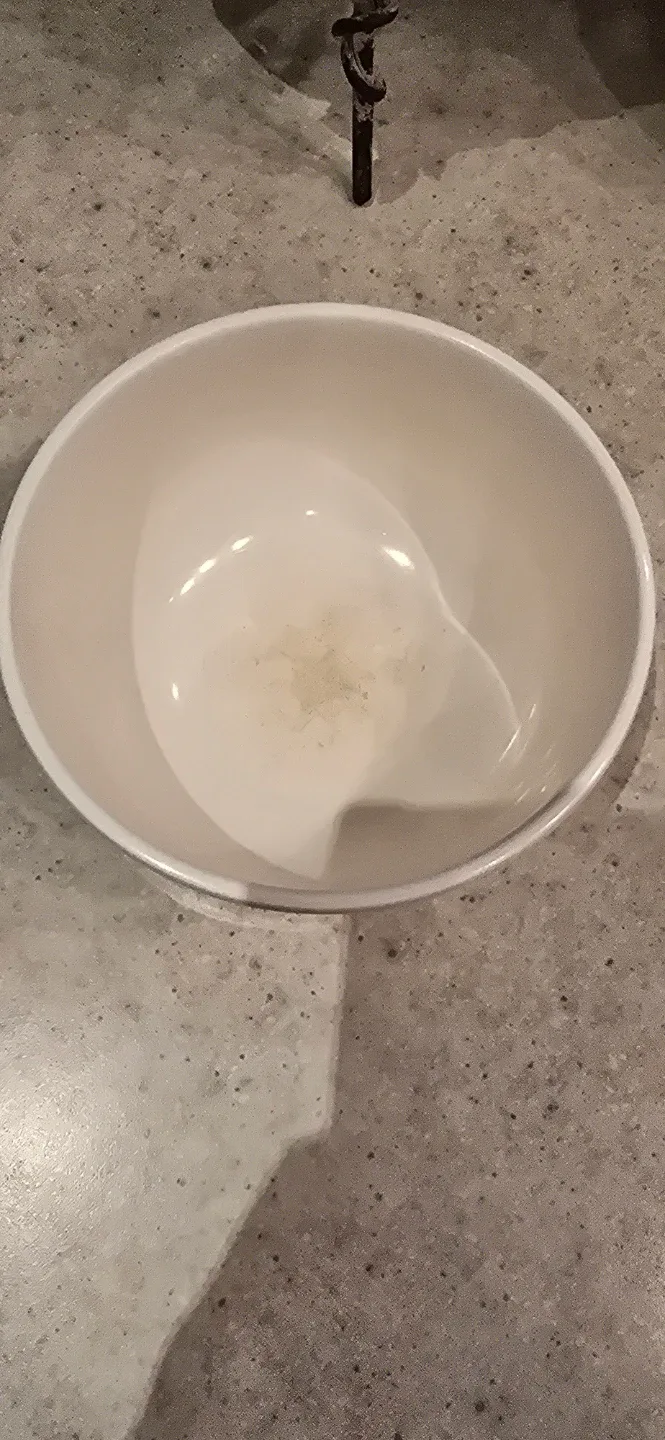 Plastic bowl