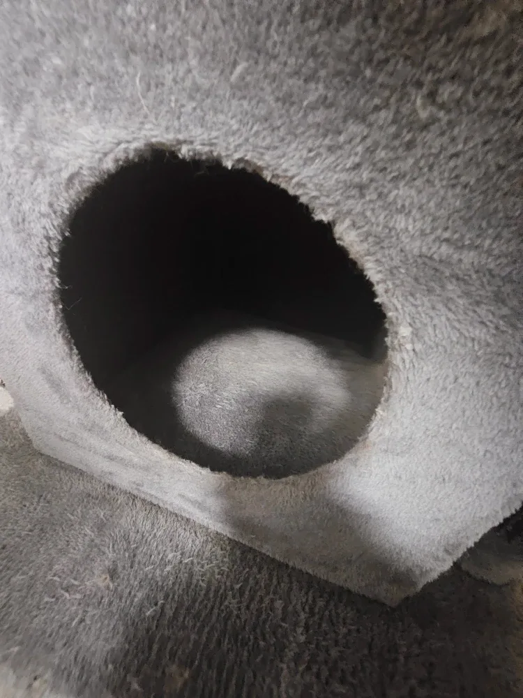 Used Grey Cat Tree with Scratching Posts