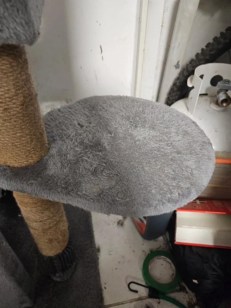 Used Grey Cat Tree with Scratching Posts image indicator(6)
