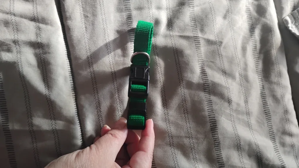 Green Adjustable Pet Collar