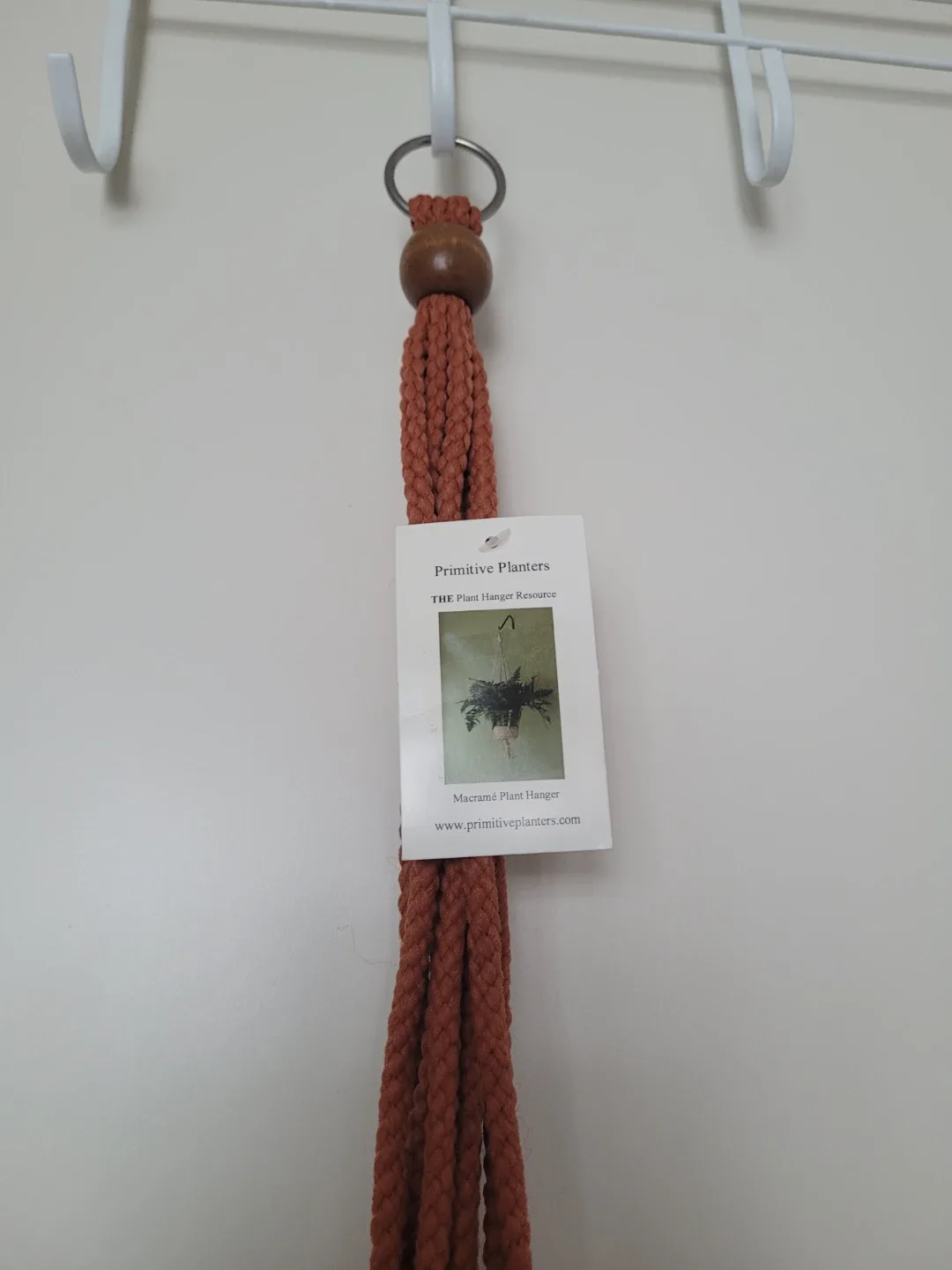 Spider Plant + Macrame Plant Hanger image indicator(2)