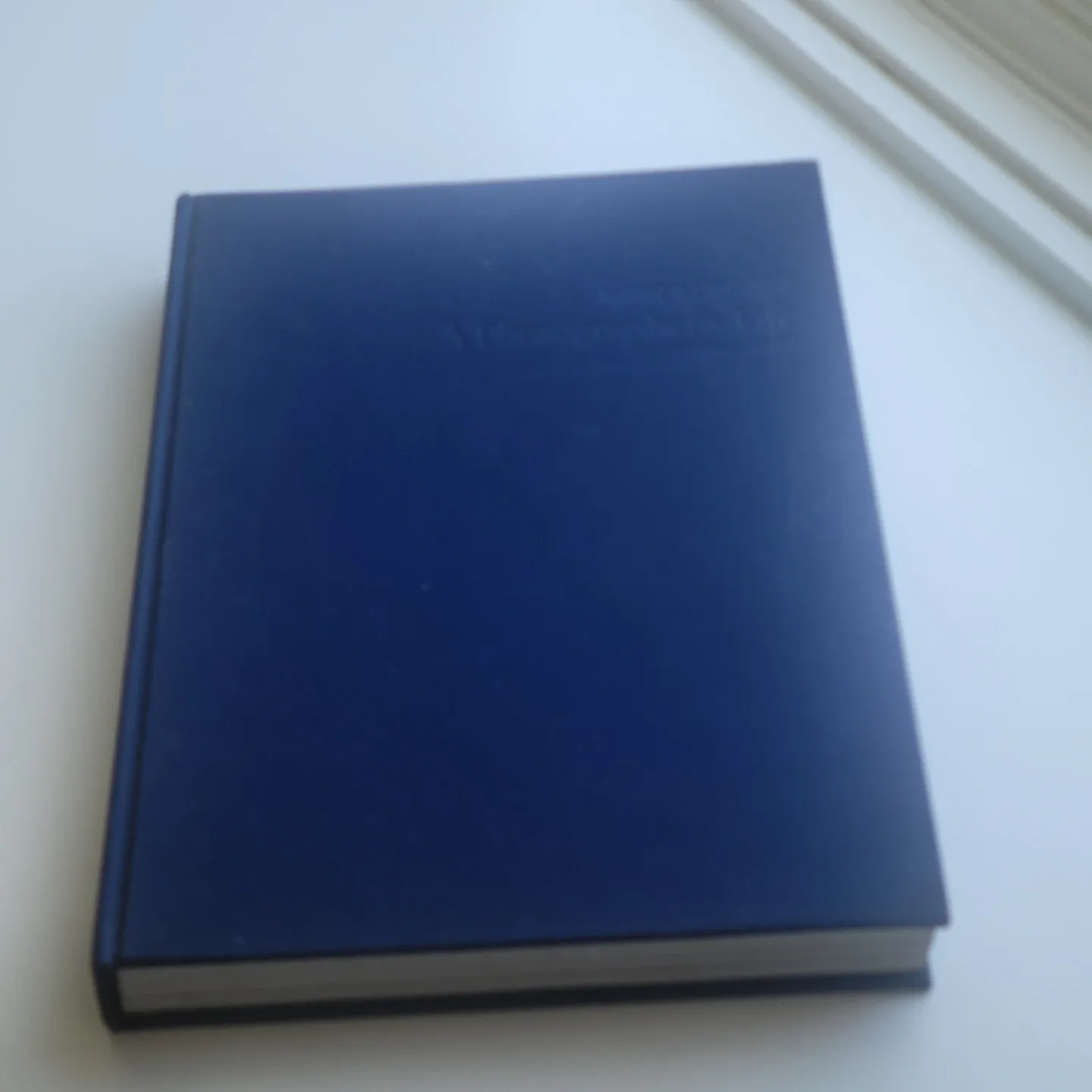 Annie Leibovitz A Photographer's Life  Hardcover Blue Book image indicator(9)