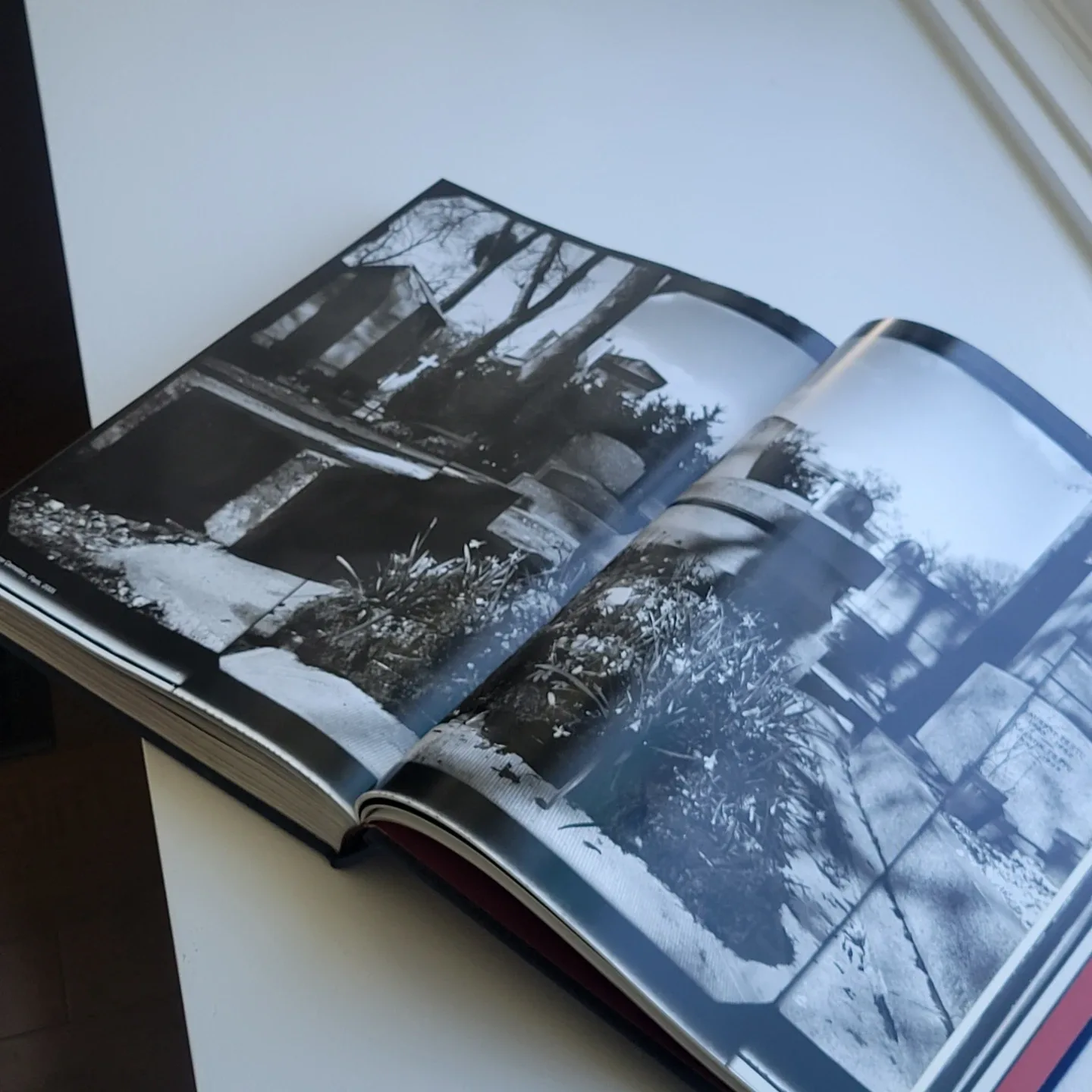 Annie Leibovitz A Photographer's Life  Hardcover Blue Book image indicator(10)