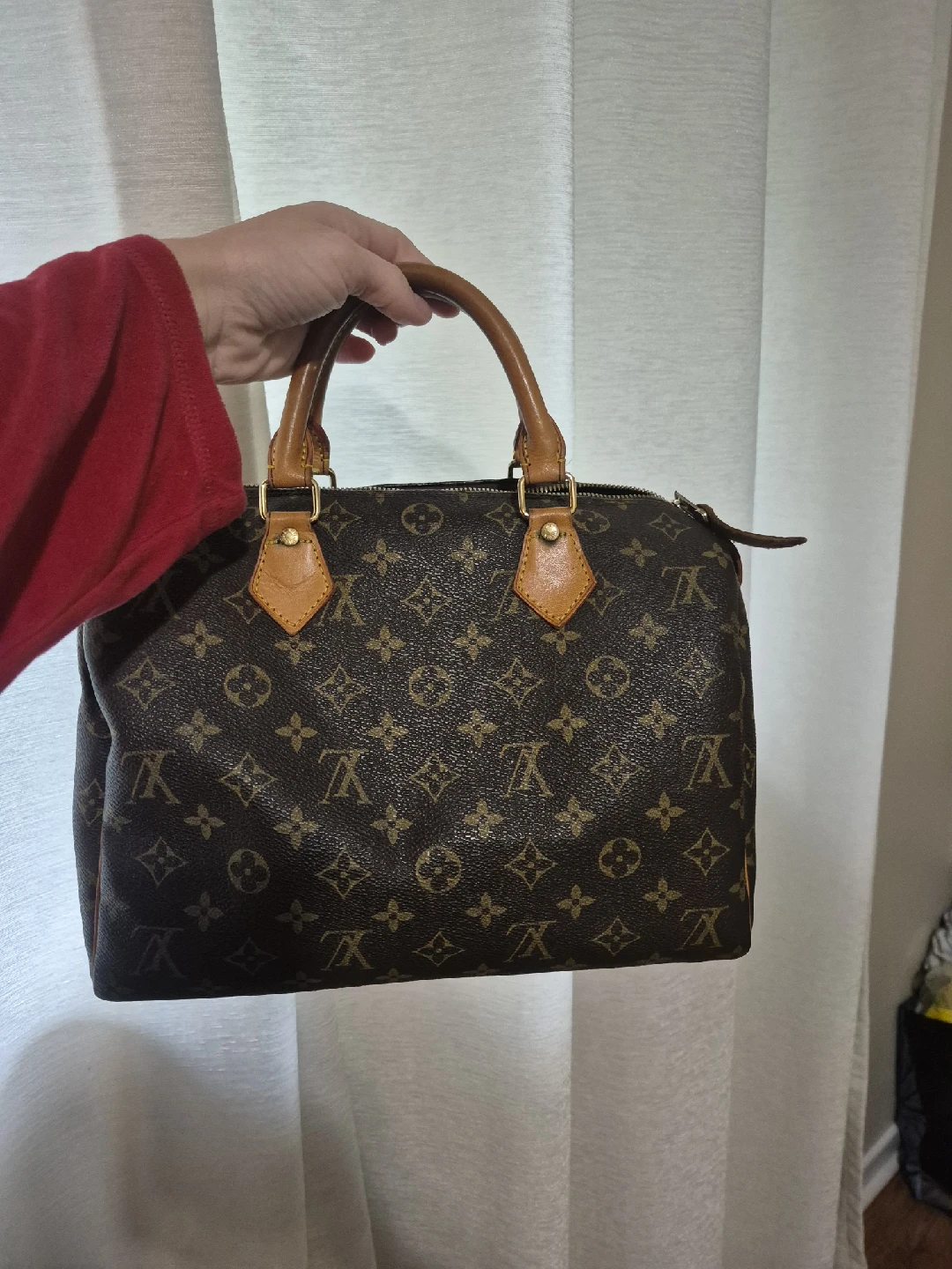 Louis Vuitton Speedy 30 Handbag