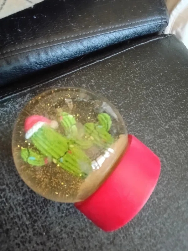 Cactus Christmas Snow Globe