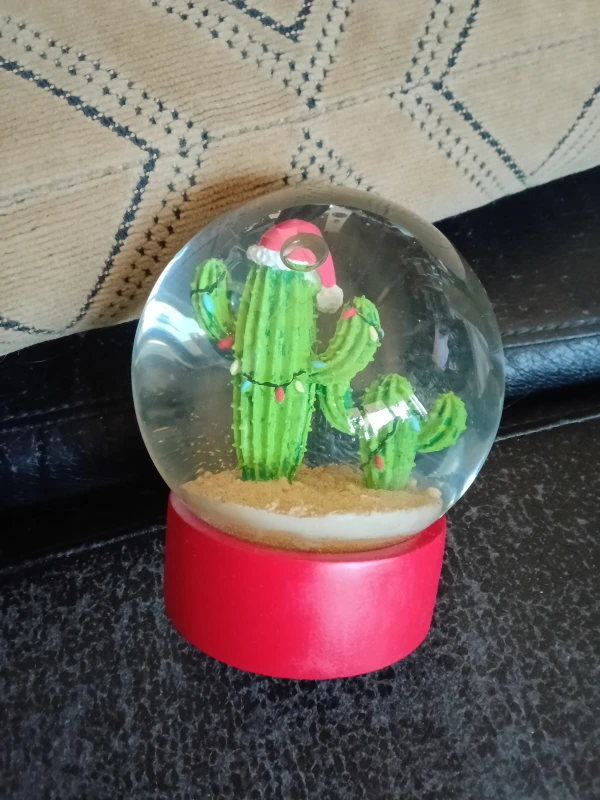 Cactus Christmas Snow Globe - photo 2