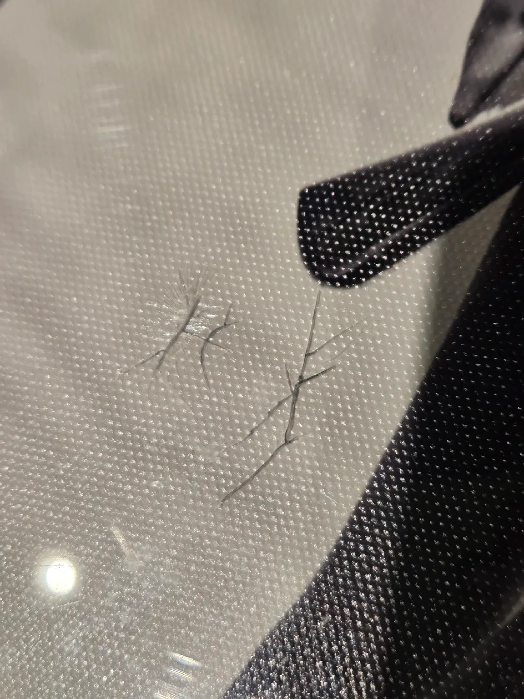 Framed Print - Gisele Bundchen image indicator(3)