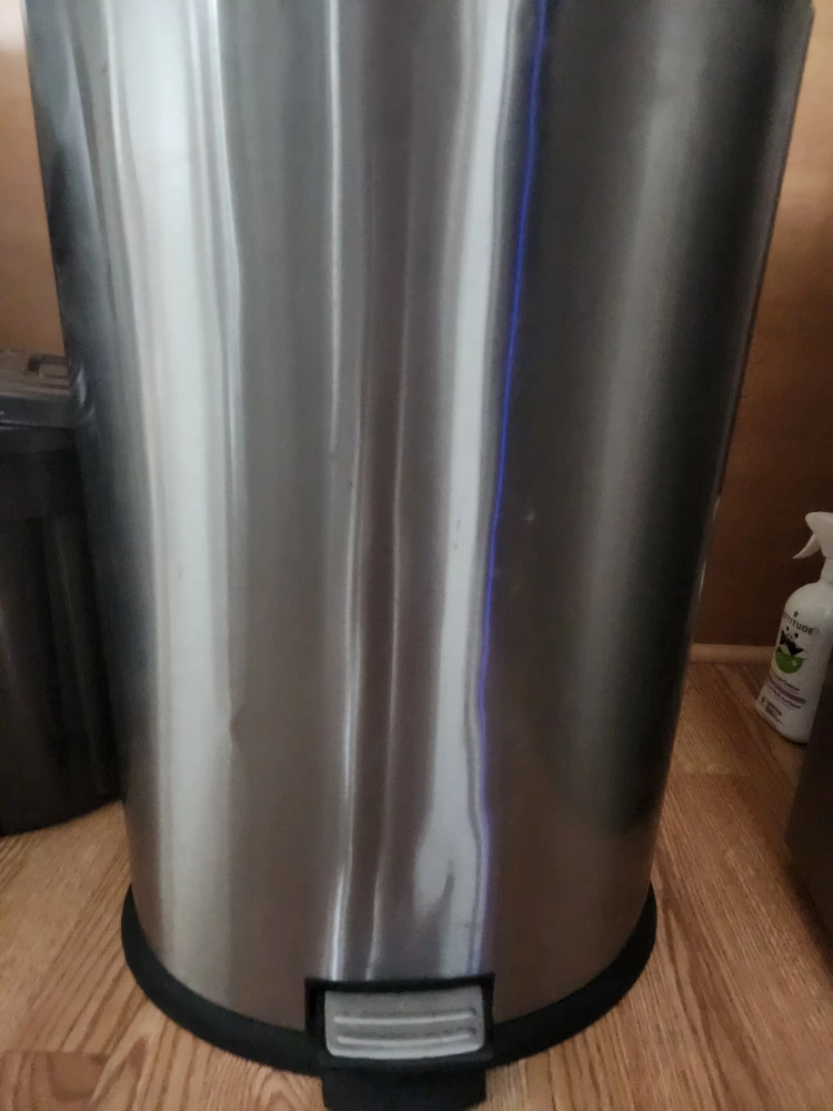Stainless Steel Step-On Trash Can - photo 3