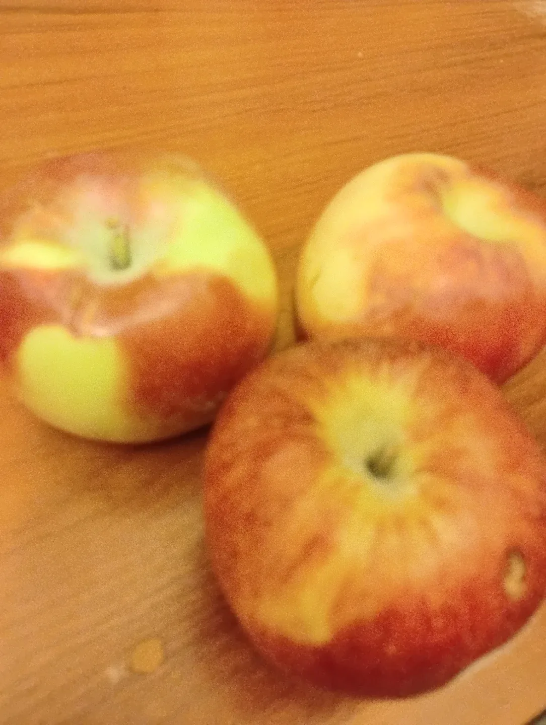 FOOD BUNDLE image indicator(2)