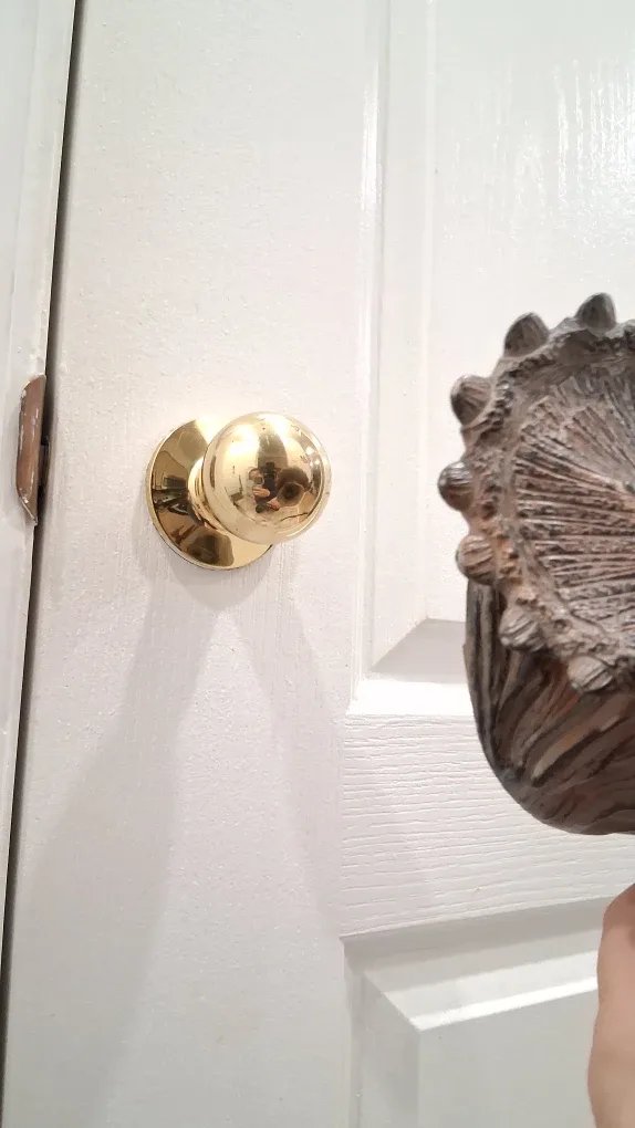 Hyper Realistic Home DECORATION, Triceratops Dinosaur Puppets image indicator(3)