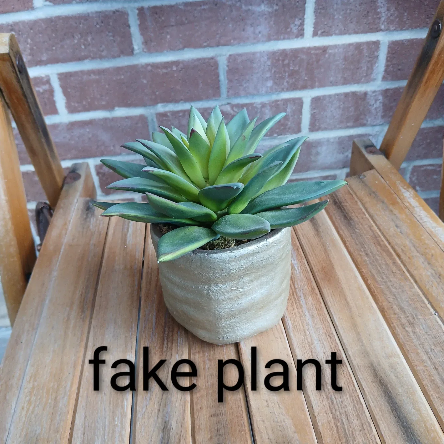 Artificial Succulent Plant thumbnail