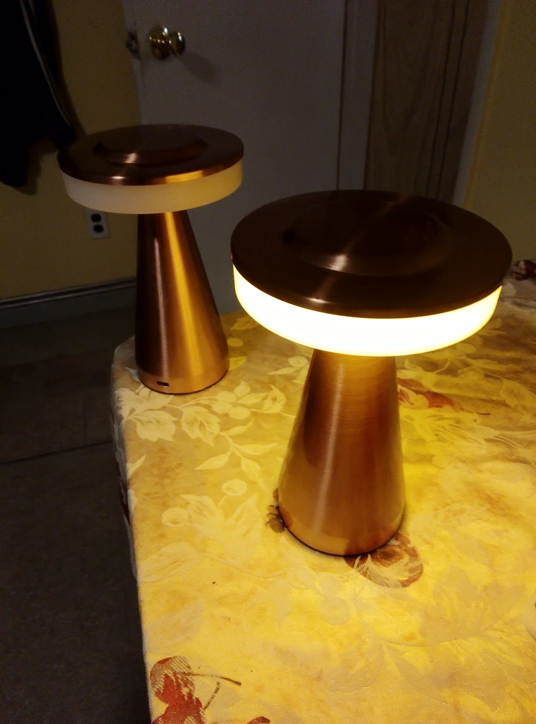 Copper Mushroom Table Lamps (Set of 2)