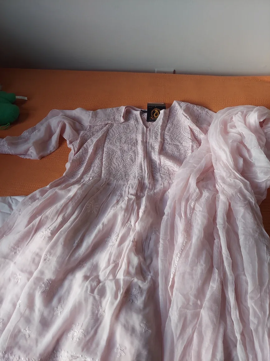 Light Pink Dress image indicator(2)