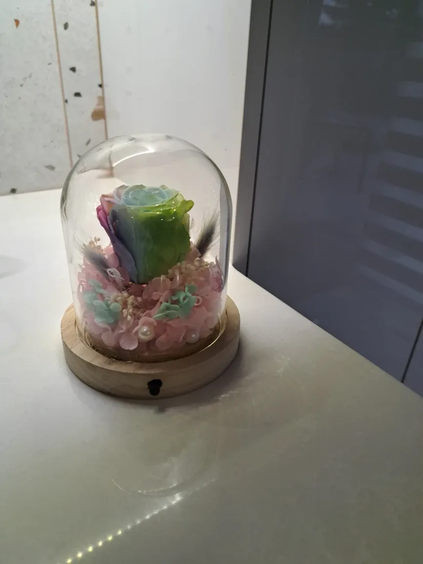 Rainbow Preserved Rose in Glass Dome