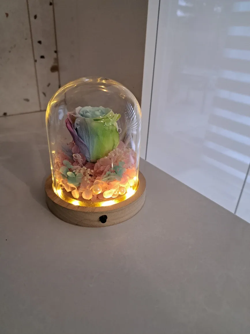 Rainbow Preserved Rose in Glass Dome image indicator(2)