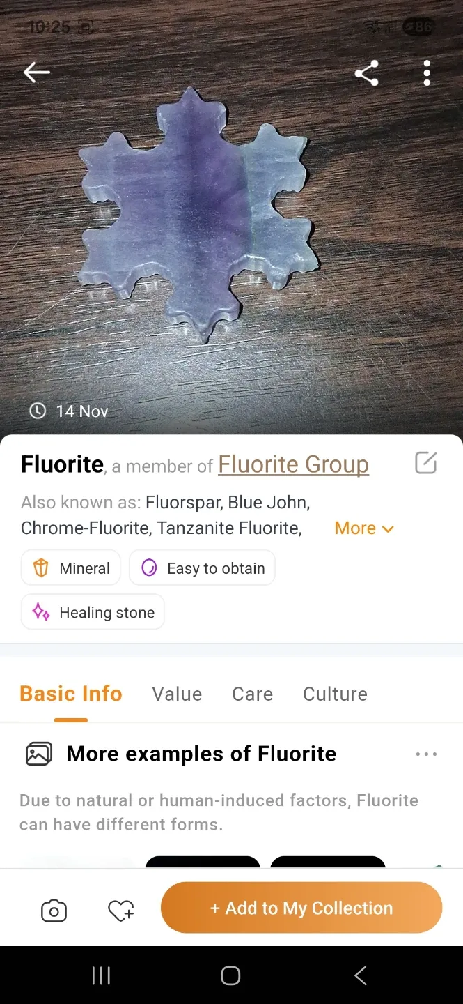 Fluorite Snowflake Mineral image indicator(2)