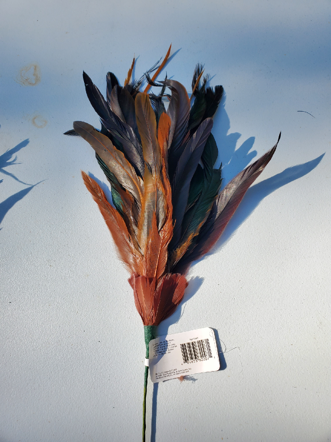Home Inspirations Decorative Feather Pick