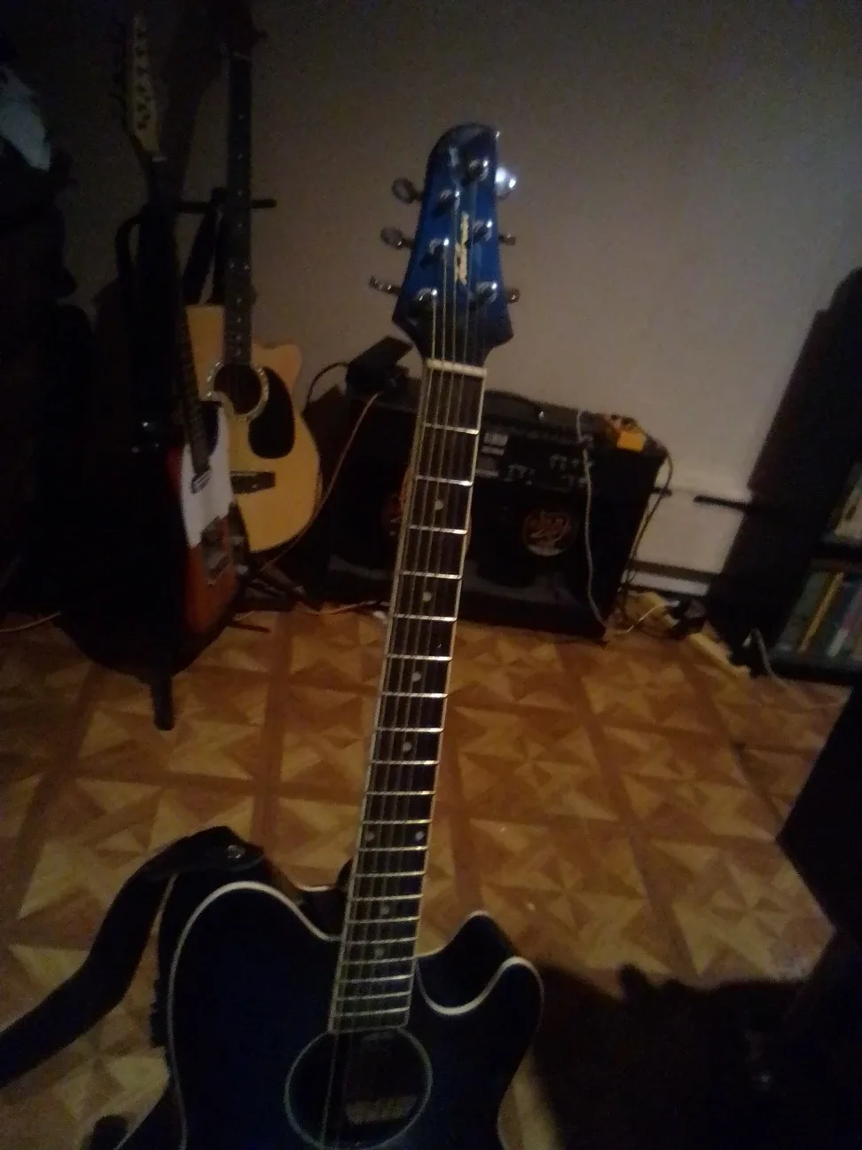 Ibanez taliman acoustic electric guitar image indicator(2)