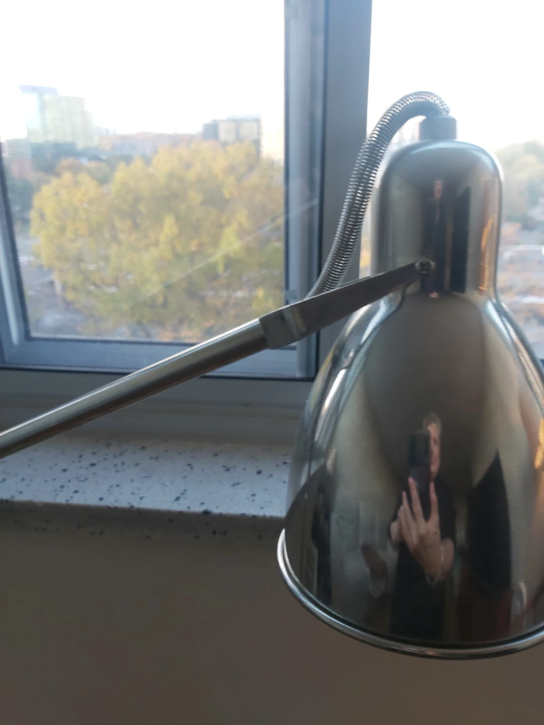 Desk Lamp from West Elm - photo 2