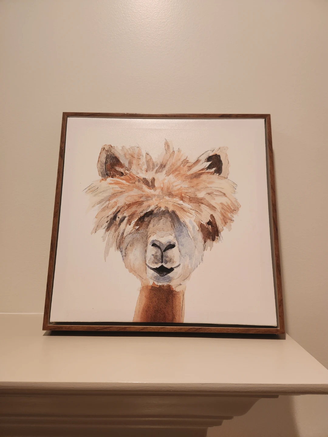 Framed Alpaca Watercolour Painting