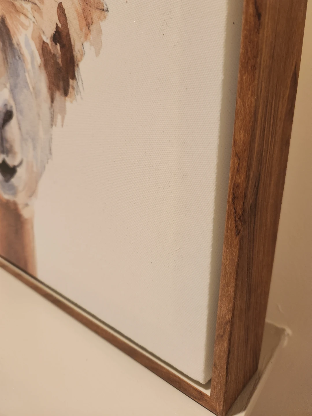 Framed Alpaca Watercolour Painting - photo 3