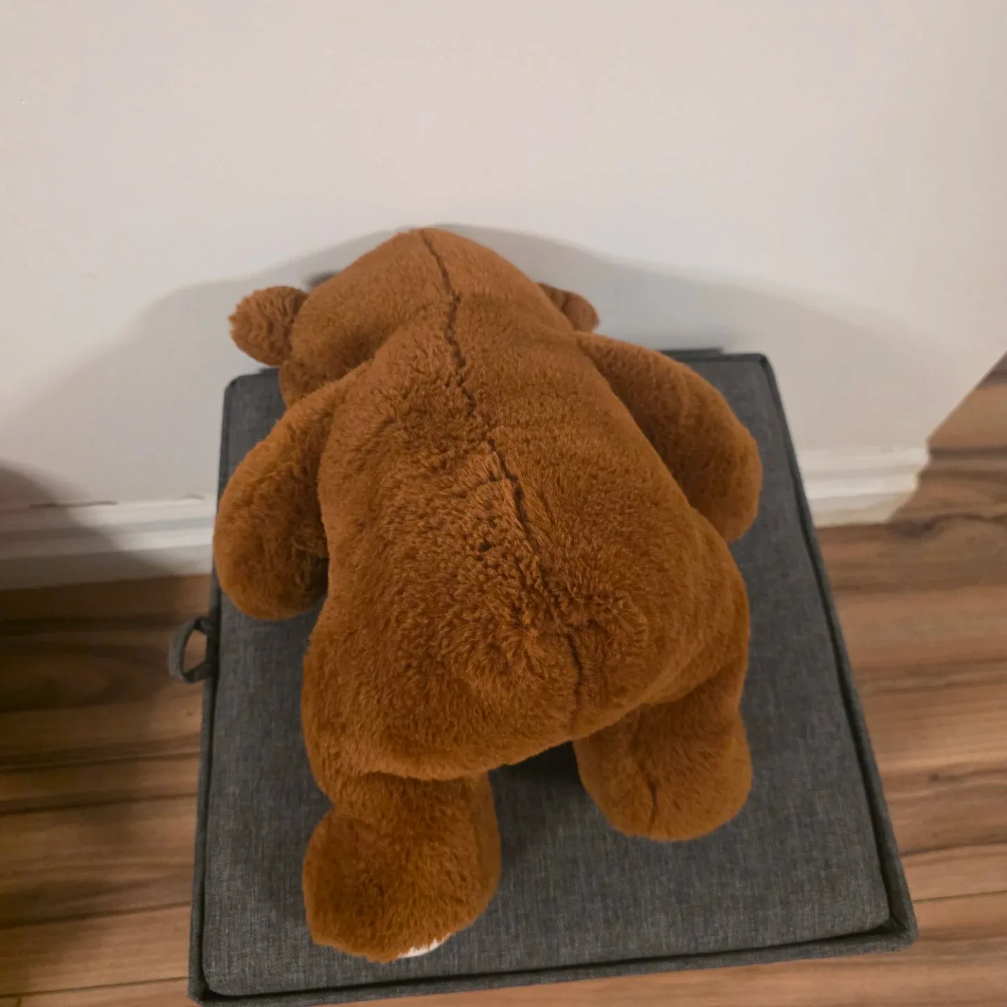 Brown Teddy Bear with Polka Dot Bow image indicator(3)