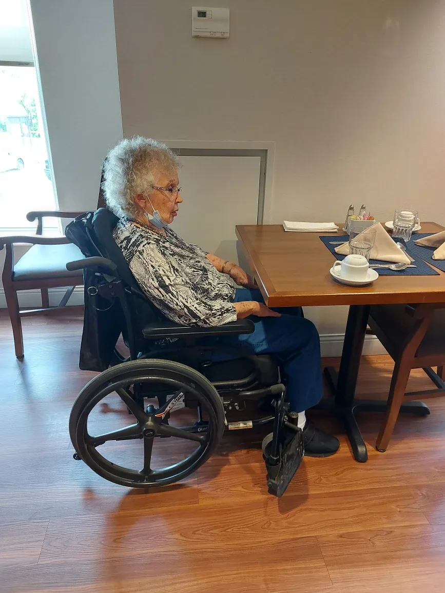 Wheelchair image indicator(2)