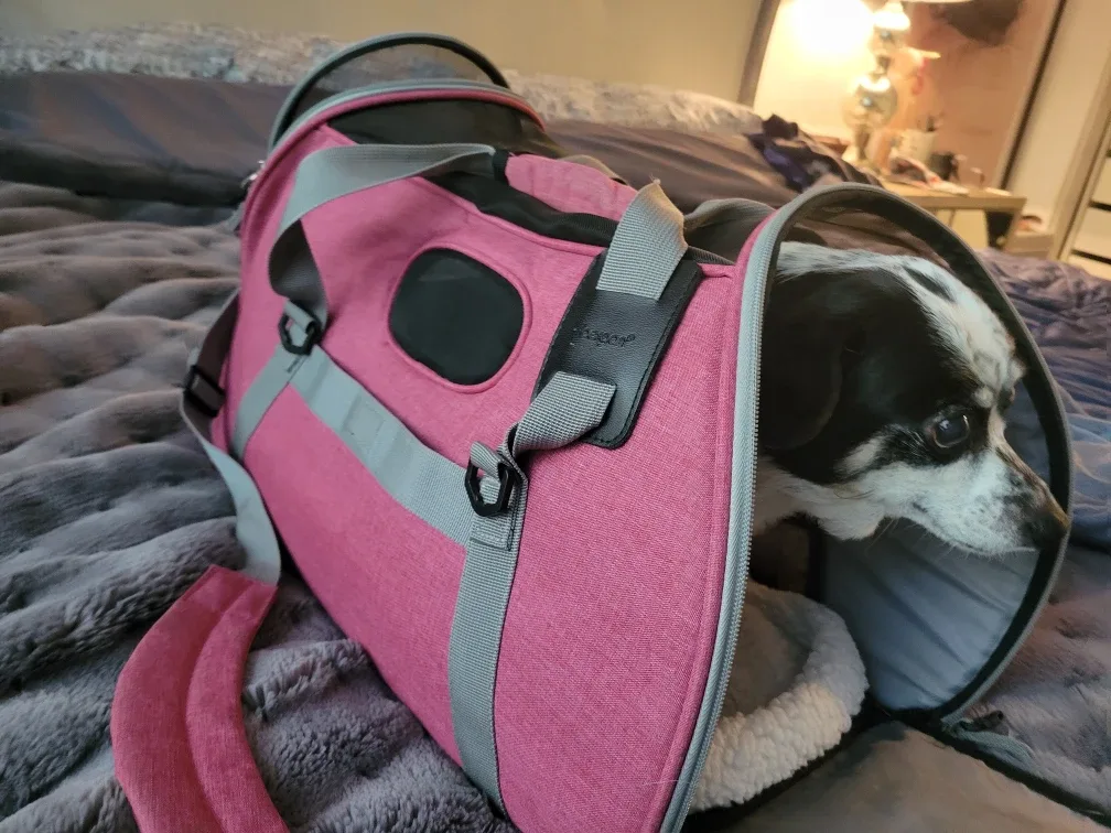 Bergan Large Comfort Pet Carrier, Great for Small Dogs or Cats image indicator(3)