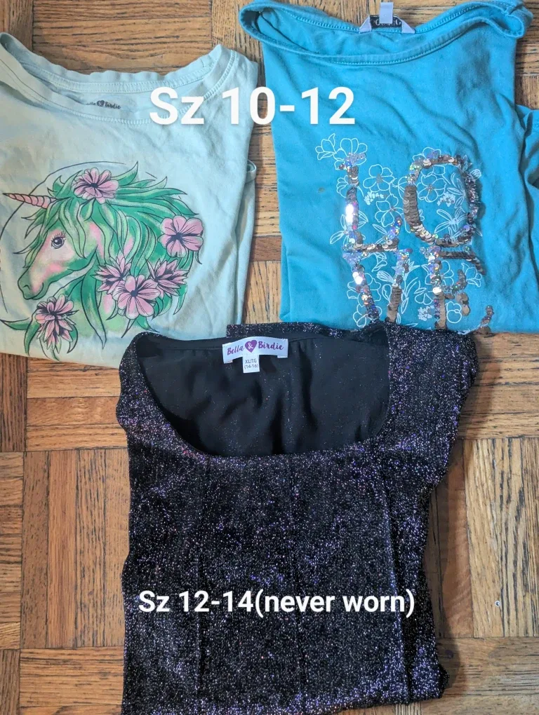 Girls' Clothing Bundle - Size 7/8 to 12/14 image indicator(2)