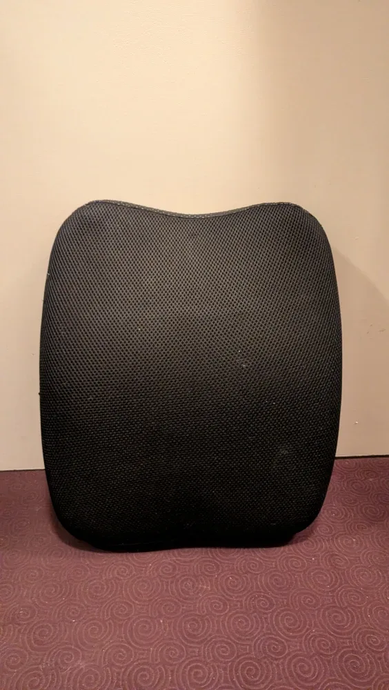 Black Mesh Lumbar Support Cushion